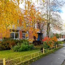 Основные сведения