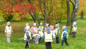 Прогулка в осенний парк